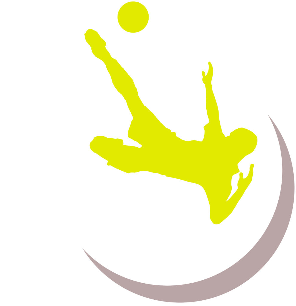 Logo pro soccer data